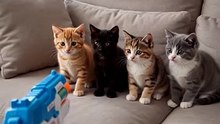 Animals pretending to faint When Dog Gets PEW’d 😂 #FunnyAnimals #AnimalComedy #FunnyPets #CuteAnimals #Viral#BirdBuzz 1(2)