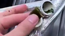 Nước đầu nguồn ảnh hưởng đến cuộc sống như thế nào?