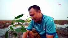 Menjaga Pesisir Pantura, dari Peran Mangrove hingga Rencana Pembangunan Giant Sea Wall|SUSTENESIA