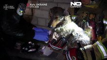 Ucraina: i vigili del fuoco domano le fiamme e salvano un cane tra le macerie a Kiev