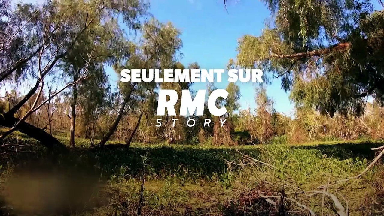 Retour à l'instinct primaire : le retour des héros - Vidéo Dailymotion