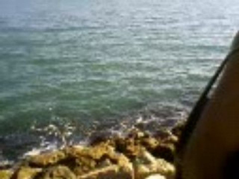 Vidéo-0002