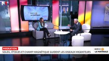 Sciences & Nous : Soleil, étoiles et champ magnétique guident les oiseaux migratoires