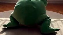 *I thought it was just a frog plush... then it smiled back 🐸*