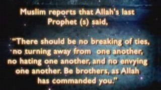 Brotherhoodcampaign Brüderschaft Islam Allah Taqwa Iman
