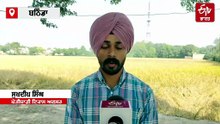 ਮੌਸਮ ਦੀ ਬੇਰੁਖ਼ੀ ਨੇ ਕਣਕ ਦੀ ਬਿਜਾਈ ਪਛਾੜੀ ? ਝਾੜ 'ਤੇ ਵੀ ਪਵੇਗਾ ਅਸਰ ? ਪੜ੍ਹੋ ਇਹ ਖਾਸ ਰਿਪੋਰਟ
