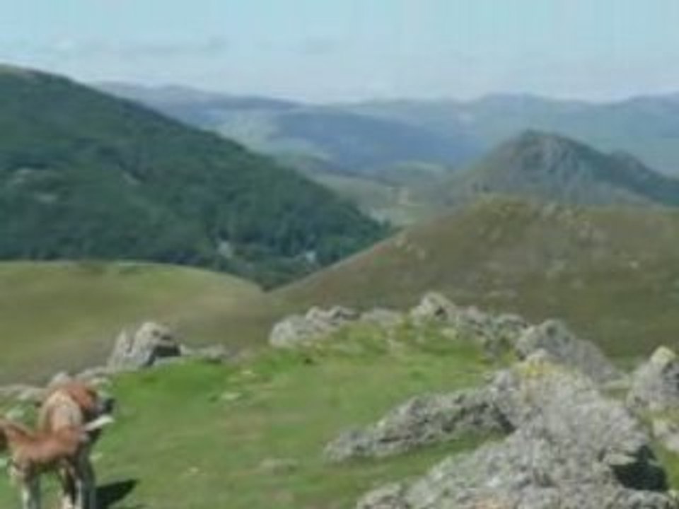 Pays-Basque Occabé 07/08