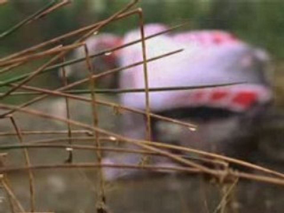 Seasons