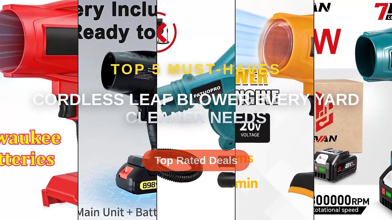 Cordless Leaf Blower Every Yard Cleaner Needs - Video Dailymotion