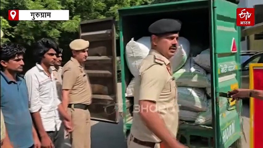गुरुग्राम में 1.25 करोड़ रुपये का 673 किलो गांजा बरामद, दो तस्कर गिरफ्तार