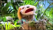 Zingzillas: series 4 spread the word