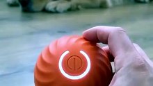 Bouncing Dog Toy Ball Durable, Interactive & Rechargeable