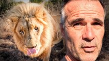Vayetse’s Limp Explained: Lion Whisperer Enrichment Walk and Neurological Tests