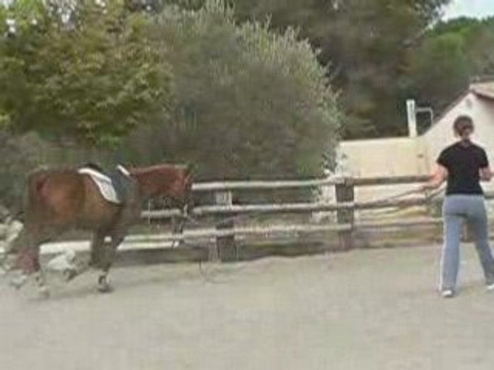 Fifi longe