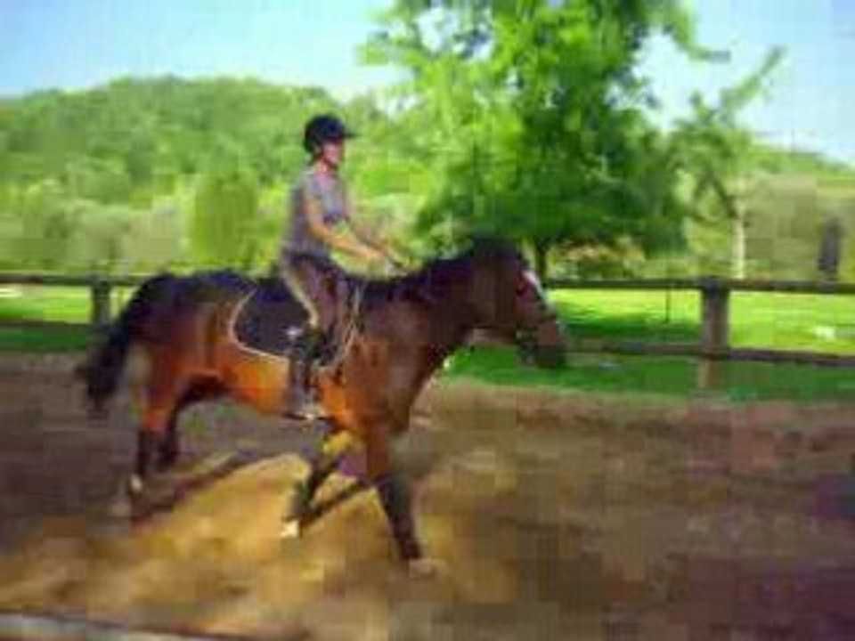 Lise et Pigamon 2