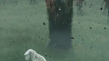 Unexpected Sheep Transformation in Mortal Shell 2