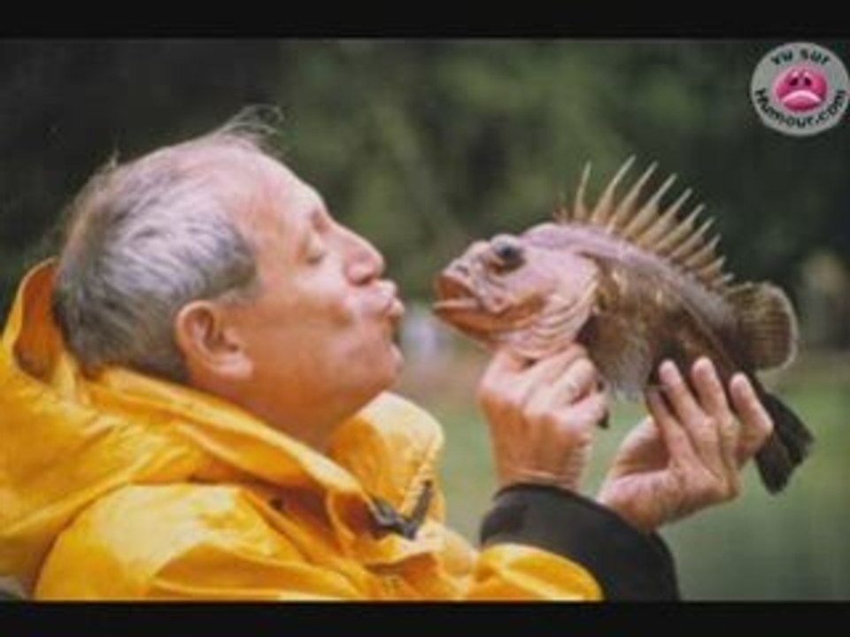 images d'animaux drole