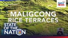 Maligclong Rice Terraces, kinilalang National Cultural Treasure | SONA
