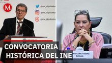 Cámara de diputados define convocatoria para elegir consejero del INE