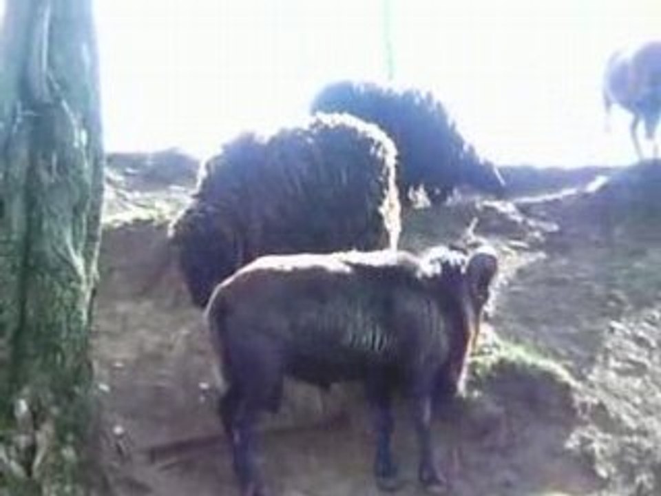 PICT0683