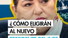 Explicador: ¿Cómo se elegirá al sucesor de Guadalupe Taddei en la presidencia del INE?