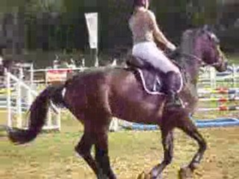 Concours musson fanny et andora 1M