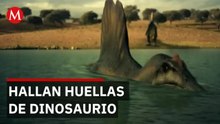Raymundo Cervantes revela huellas de dinosaurios de 65 millones de años