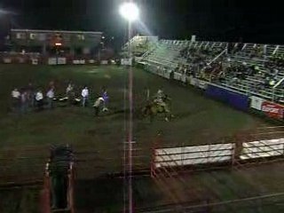 Dany & Pacal en sauvetage