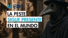 La peste no ha desaparecido