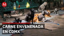 Hallan carne con pastillas de polvo blanco en Parque España