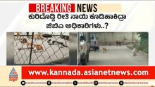 Stray Dog Shelter Scam In GBA: ಜಿಬಿಎ ಬೀದಿನಾಯಿ ಶೆಲ್ಟರ್ ಹೆಸರಲ್ಲಿ ಭಾರಿ ಗೋಲ್‌ಮಾಲ್ | Suvarna News