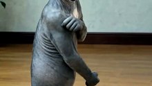 Dancing Cats & Dog 😻 Funny Cat & Dog Videos #catdancing #catfunny