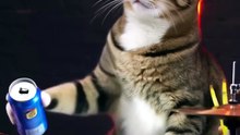 Dancing Cats & Dog 😻 Funny Cat & Dog Videos
