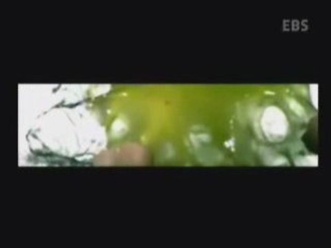 l'effet d'une balle au ralenti