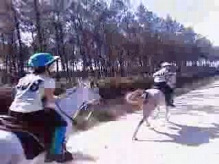 Aux championnats 2oo7