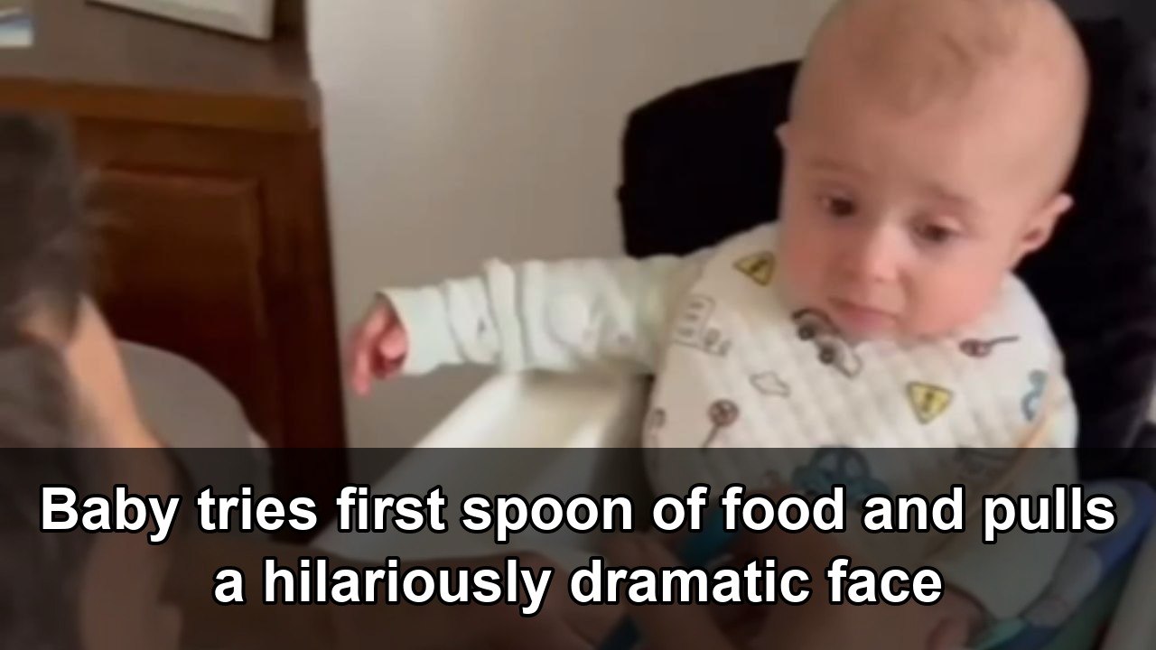 First spoonful turns into a hilarious baby taste test - video Dailymotion