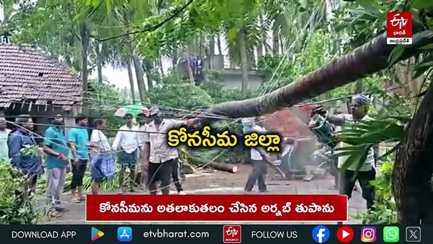 కోనసీమను అతలాకుతలం చేసిన అర్నబ్ తుపాను - నేలకొరిగిన వందలాది చెట్లు, స్తంభాలు