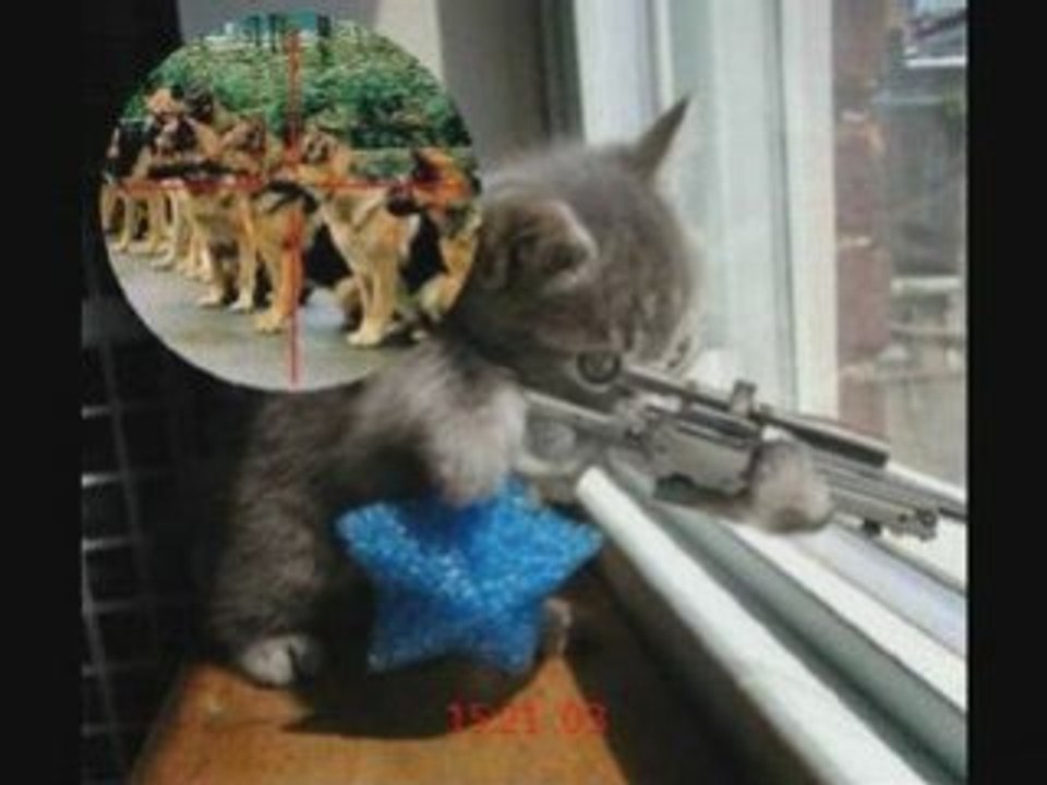 Chat Sniper