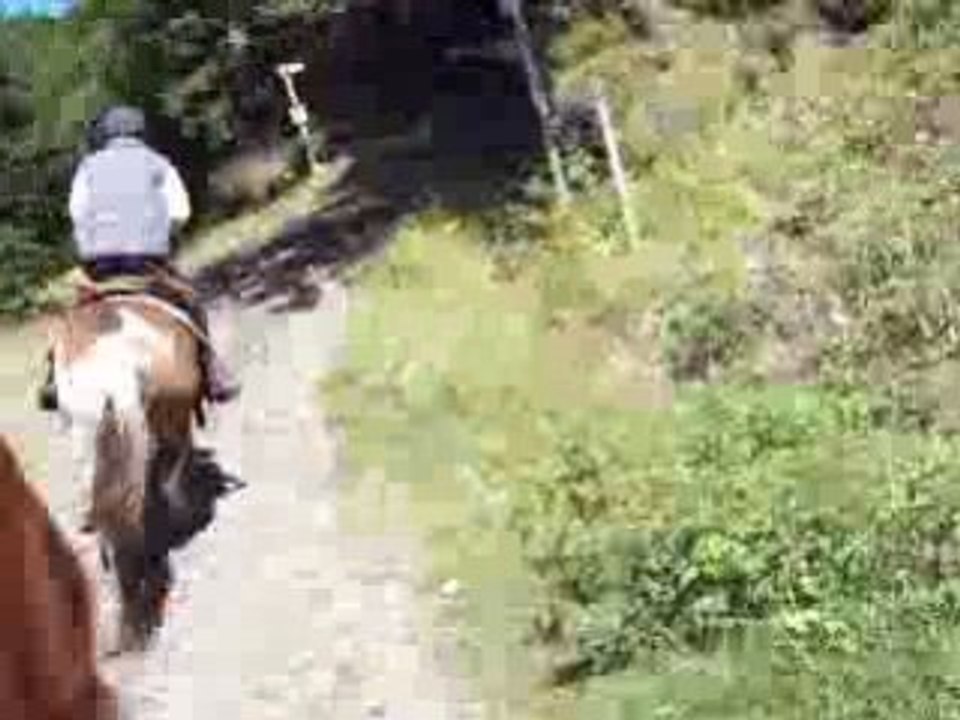 Sancy 187