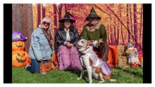 Halloween Fundraiser