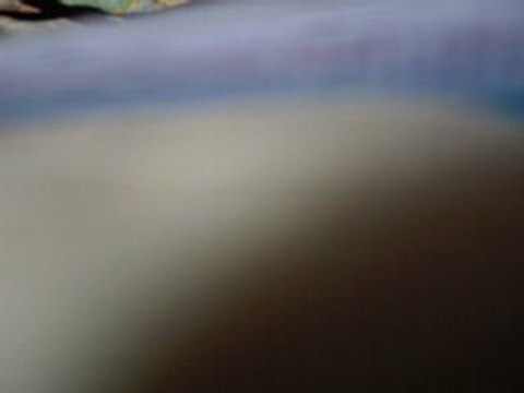 jeune et con - damien saez