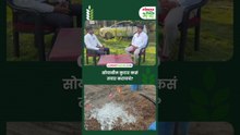 कमी खर्चात सोयाबीन कुटार तयार करा, दुष्काळात फायदेशीर