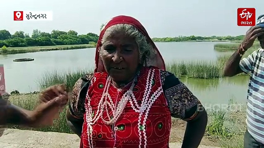 નળ સરોવરના 1 હજારથી વધુ પરિવારો જેના પર નભે છે, તે શિયાળાની ગુણકારી થેક કેવી રીતે થાય છે તૈયાર?