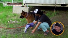 스스로 목줄을 목에 감는다?! 혀가 새파래지도록 계속되는 '지저스'의 자해