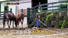 "집은 있어요..." 역대급 업무량에 견사에서 잠자는 직원 ㅠㅠ