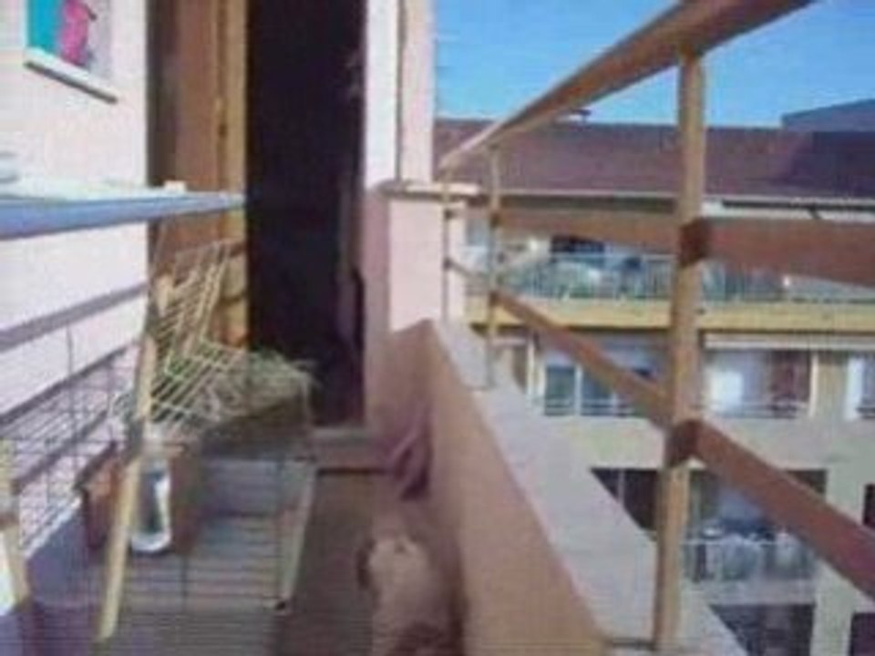 File dans ta chambre !