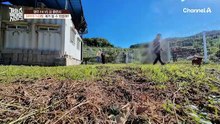 138마리 중 입질 랭킹 2위 vs 강형욱?! 영악한 입질에 개통령도 당황?