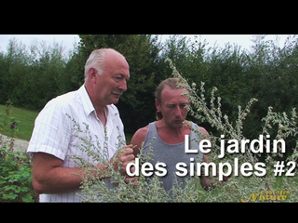Jardin des simples 2 absinthe