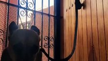 VID-20261028-WA0000