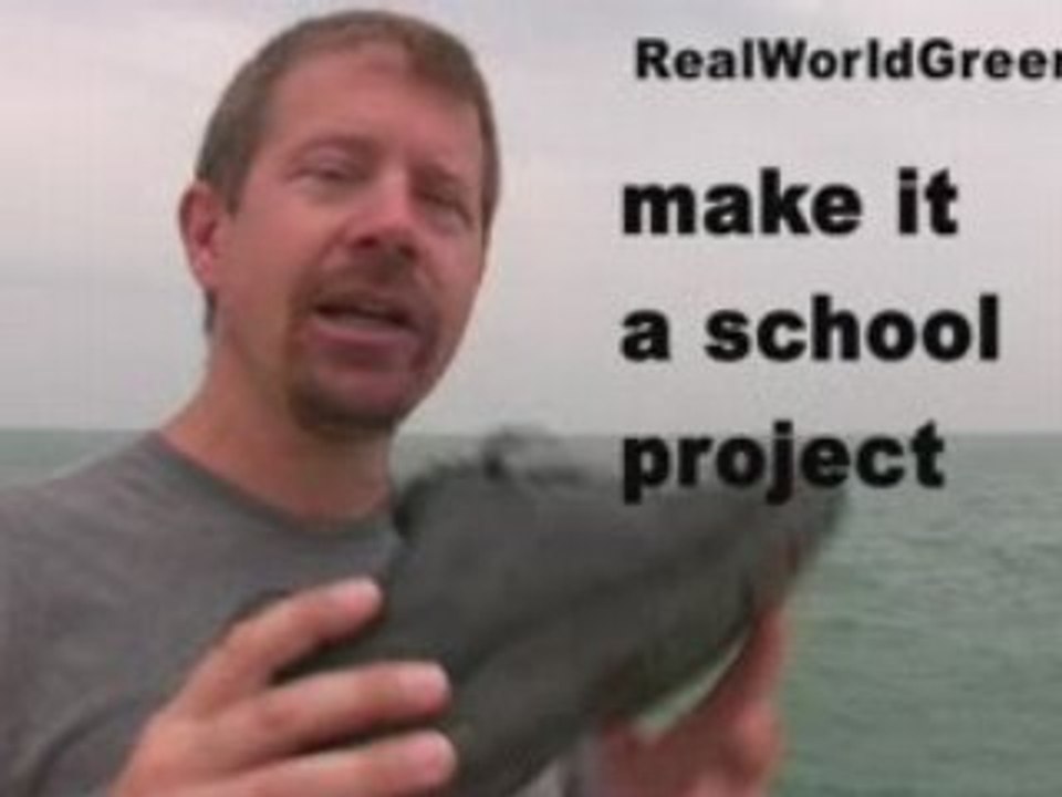 Want To Recycle Your Old Sneakers?